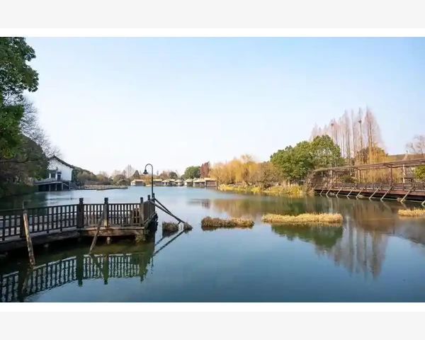 肺部玻璃结节中医调理方剂：唤醒身体自愈力，呵护健康之源