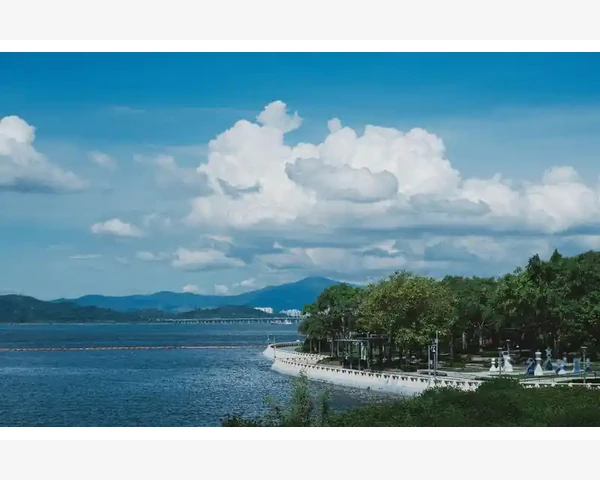 肺部纤维化：痰多胸闷，中医如何调理？
